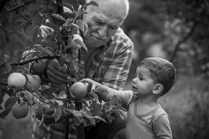 Sosyal Devlet - kaynak sayfa görseli