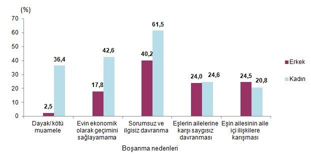 Türkiye’de Aile Yapısının Değişimi 1968-2011 - kaynak sayfa görseli