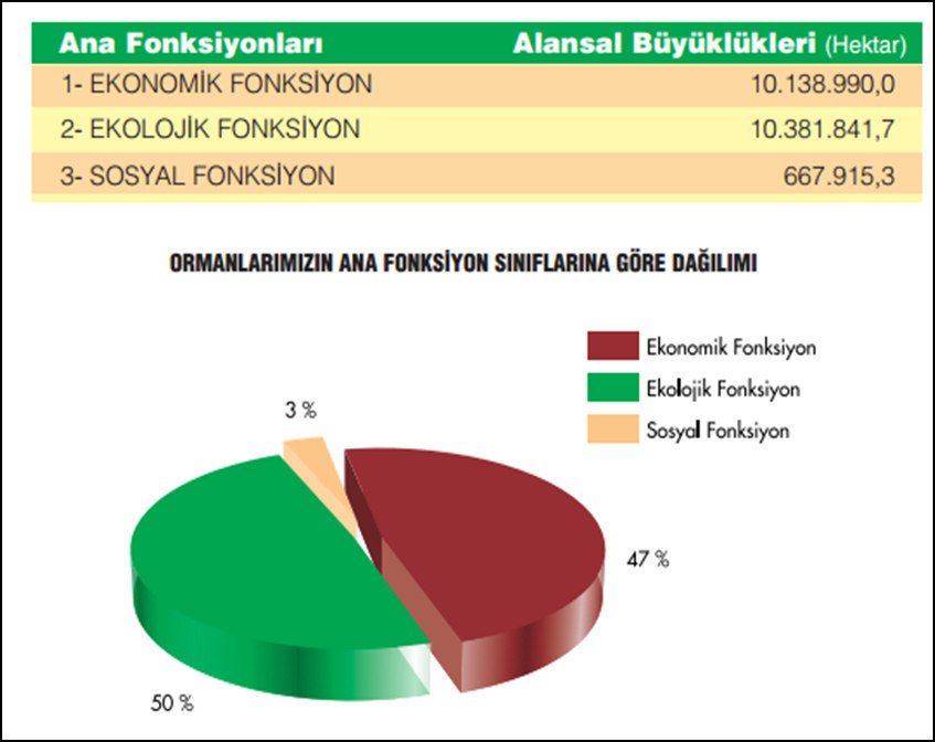Ekonomik Coğrafya Orman ve Çevre İlişkisi - kaynak sayfa görseli
