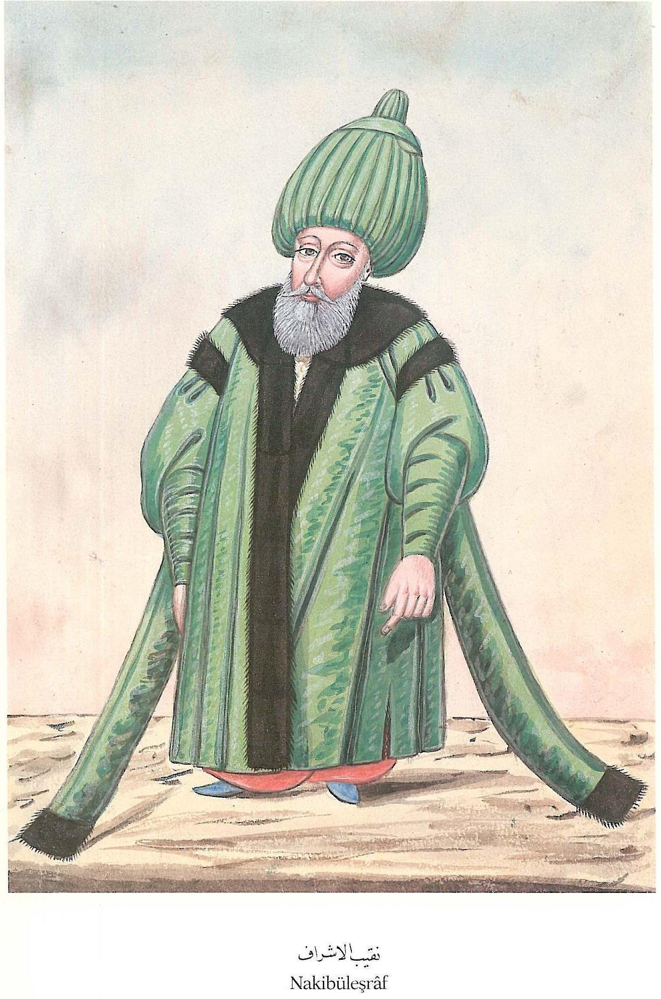 İlmiye Teşkilatının Hizmet Alanları ve İlmiye Mesleğinin Bozulması - kaynak sayfa görseli