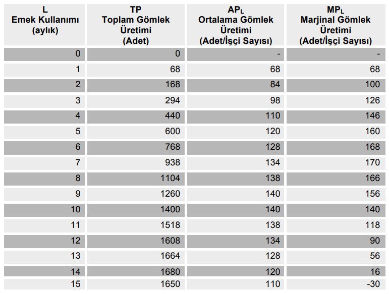 Matematiksel İktisat Uygulamaları - kaynak sayfa görseli