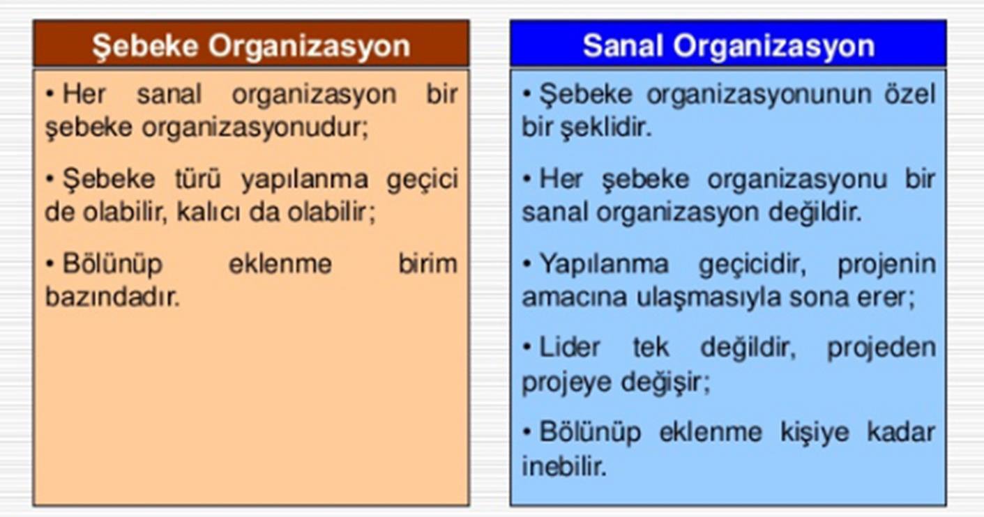 Şebeke ve Sanal Organizasyonlar - kaynak sayfa görseli